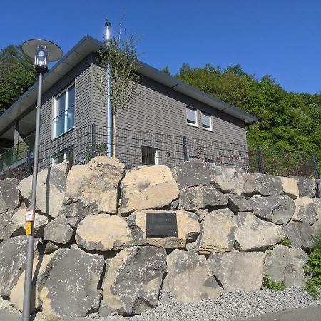 Ferienhaus Schieferterrasse - Waldsee Rieden - エクステリア 写真