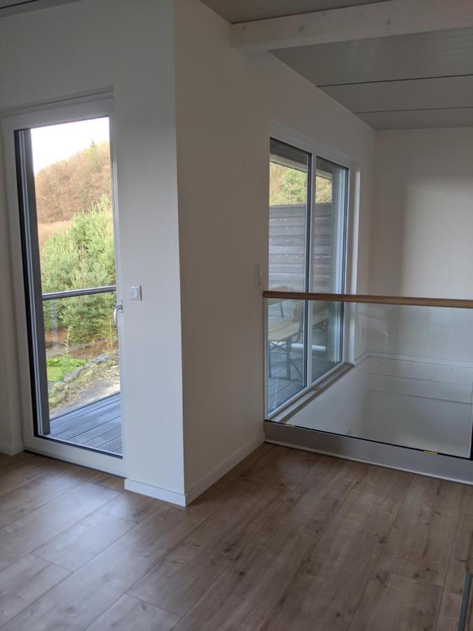 Ferienhaus Schieferterrasse - Waldsee Rieden - エクステリア 写真